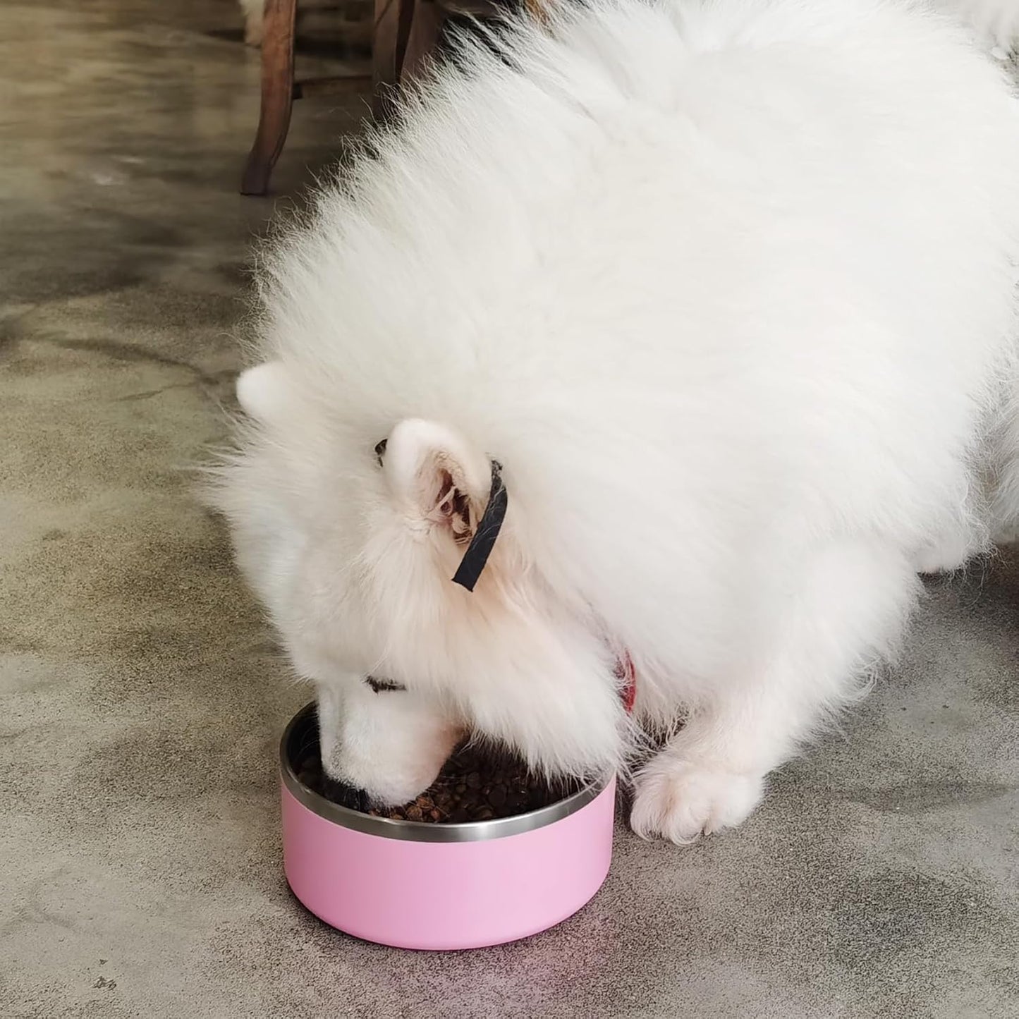 Stainless Steel Dog Bowl, Metal Water and Food Dish for Large Dogs, Insulated Non-Slip Pet Bowl, Easy Clean, 64oz, Pink