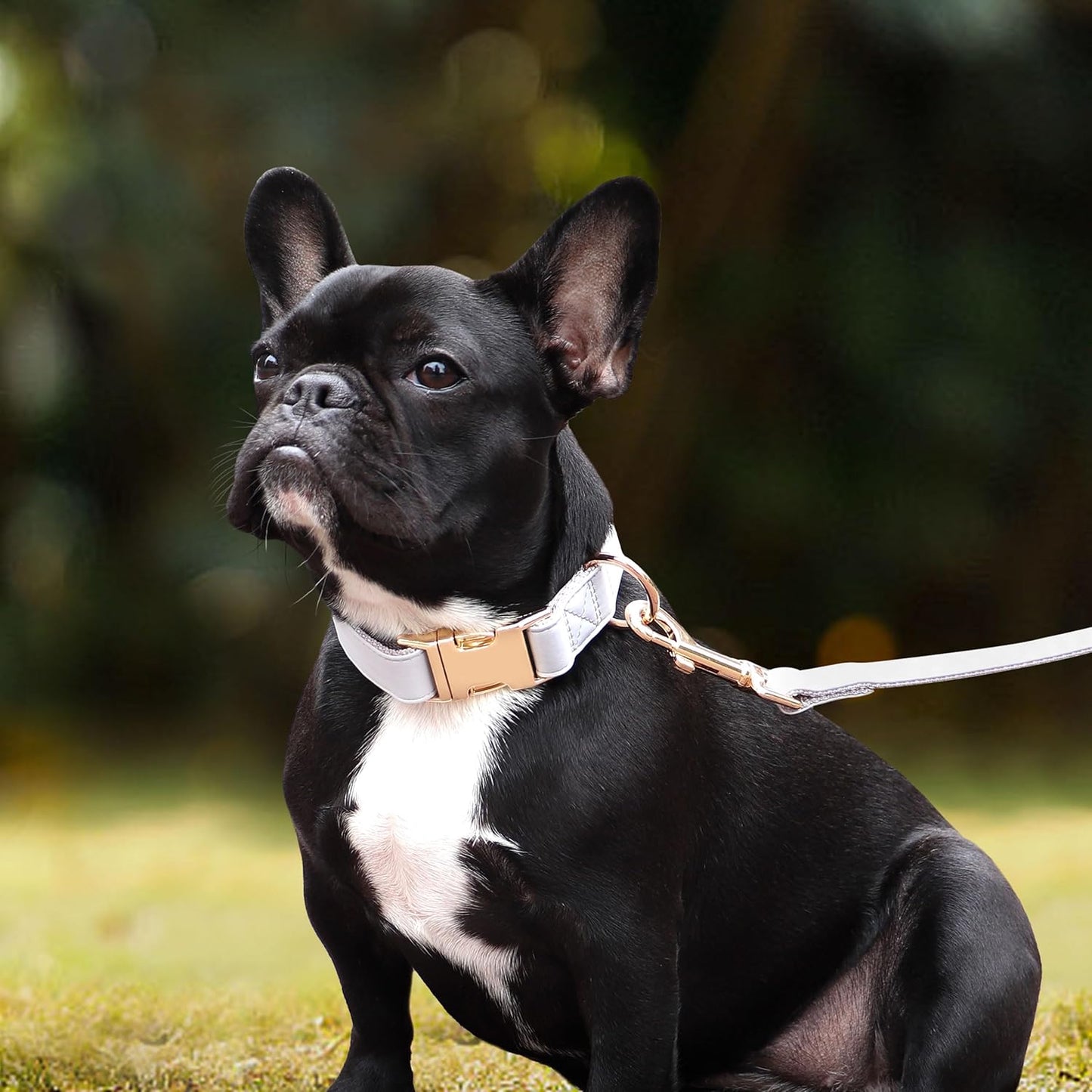 PET ARTIST Soft PU Leather Dog Collar for Small Dogs, Bright & Classic Nylon Padded Durable Dog Collar Leather with Quick Release Metal Buckle Adjustable for Male Dogs, Neck Fit 9-14"