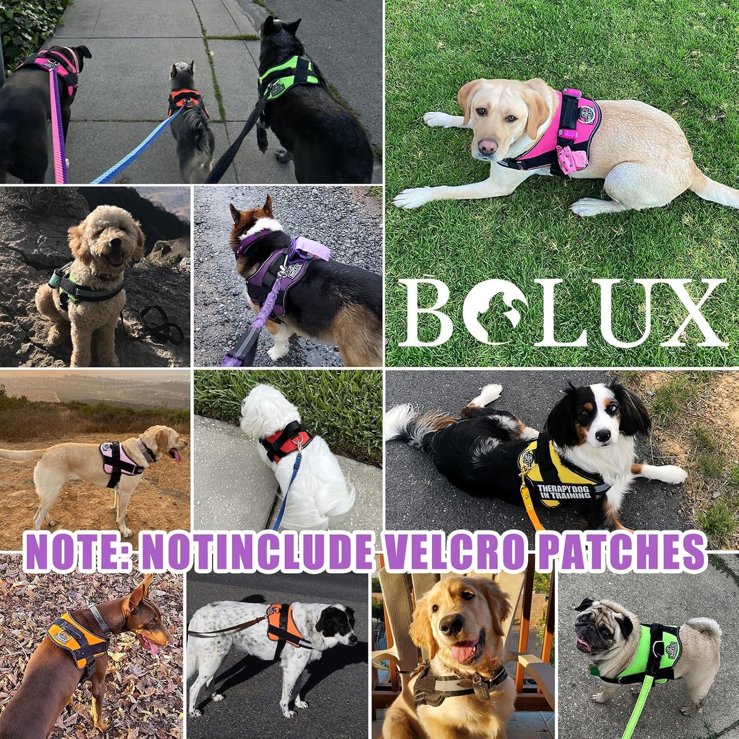 Bolux Dog Harness, No-Pull Reflective Dog Vest, Breathable Adjustable Pet Harness with Handle for Outdoor Walking - No More Pulling, Tugging or Choking (Lavender, X-Small (Pack of 1))