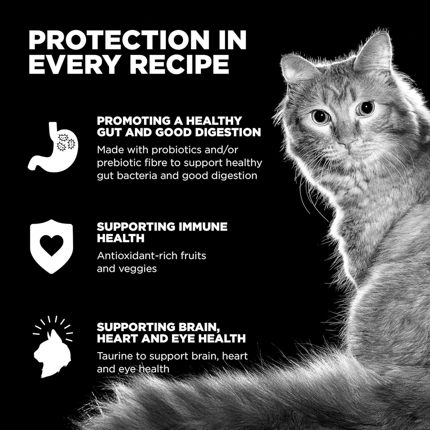 Go! Solutions Skin + Coat Care, Dry Cat Food, Chicken Recipe with Grains, 8 lb Bag