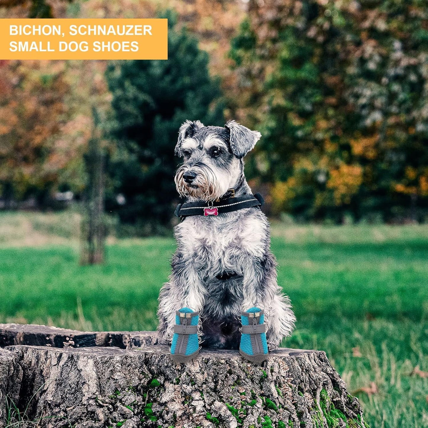 Dog Shoes for Small Dogs, Puppy Dog Boots & Paw Protector for Winter Snow Day, Summer Hot Pavement, Waterproof in Rain Weather, Ourdoor Hiking, Indoor Hardfloors with Anti Slip Sole 4PCS