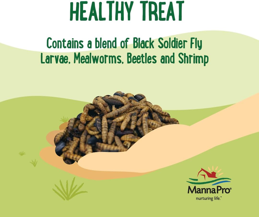 Manna Pro Farmhouse Favorites Quirky Quatro Crunch – 100% Natural Protein Treat for Mixed Flocks – Blend of Black Solider Fly Larvae, Mealworms, Beetles & Shrimp – 2lb