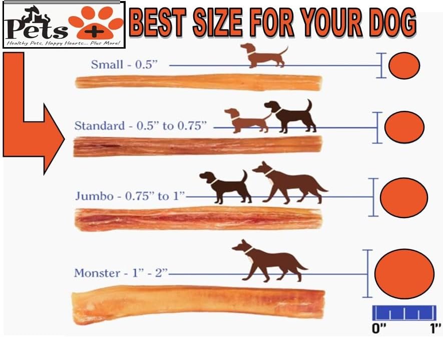 Pets Plus Premium Bart's Bully Sticks for Dogs – 6 Inch, Medium Size, All-Natural, Long-Lasting Chews for Moderate Chewers – High Protein, Low Odor, Grain-Free (15-Pack)