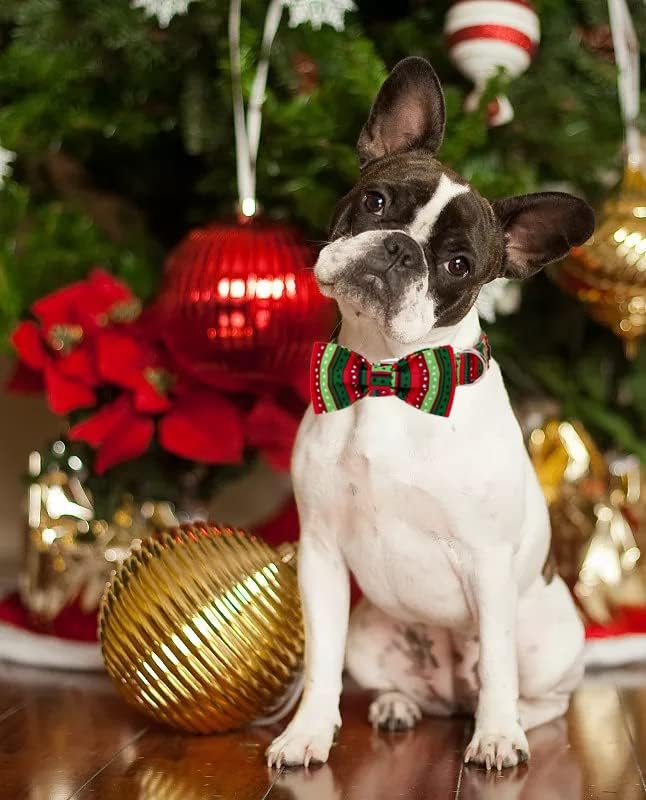 Lionet Paws Christmas Dog Collar with Bowtie, Dog Bowtie Collar with Metal Buckle for Dogs and Cats, Adjustable Comfortable Dog Collar Girl Boy Gift, S, Neck 10-16 in