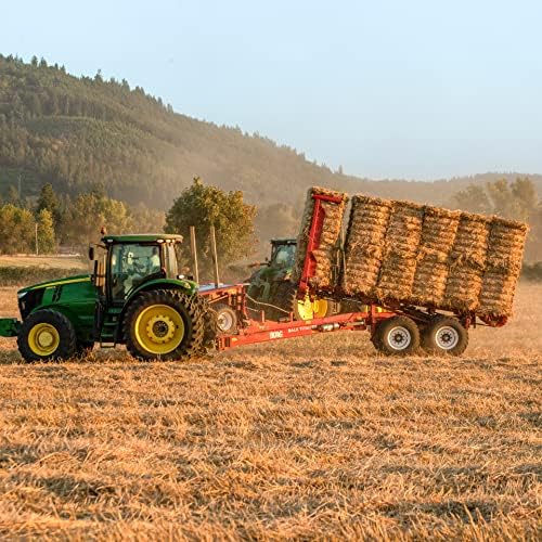 Blue Mountain Hay | Fresh Organic Oat Hay (15 Ounce) | Good for Sensitive Digestion | High-Altitude Hay Pet Food for Rabbits, Guinea Pigs, Chinchillas, Hamsters, and Other Small Pets