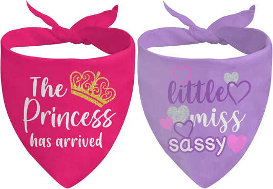 Puppy Bandana 2 Pcs, Princess Sassy Pet Scarf Gifts for Dog Girl, Pink Purple Cute Puppy Bandana for Medium to Large Pet Dogs On Birthday, Cute Girl Dog Scarf Kerchief, Gifts for Dogs Lovers