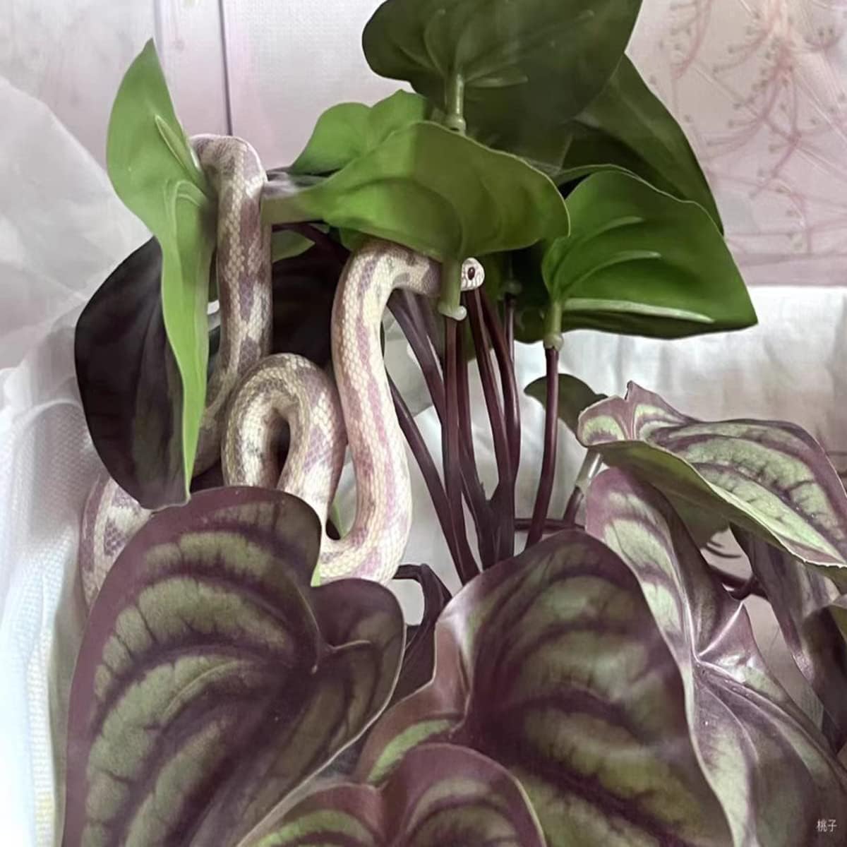 Reptile Plants for Terrarium Decor,Amphibian Habitat Decor,Artificial Plants for Gecko Chameleon Snake Tortoise Tank Accessories with Base (red Watermelon peperomia)