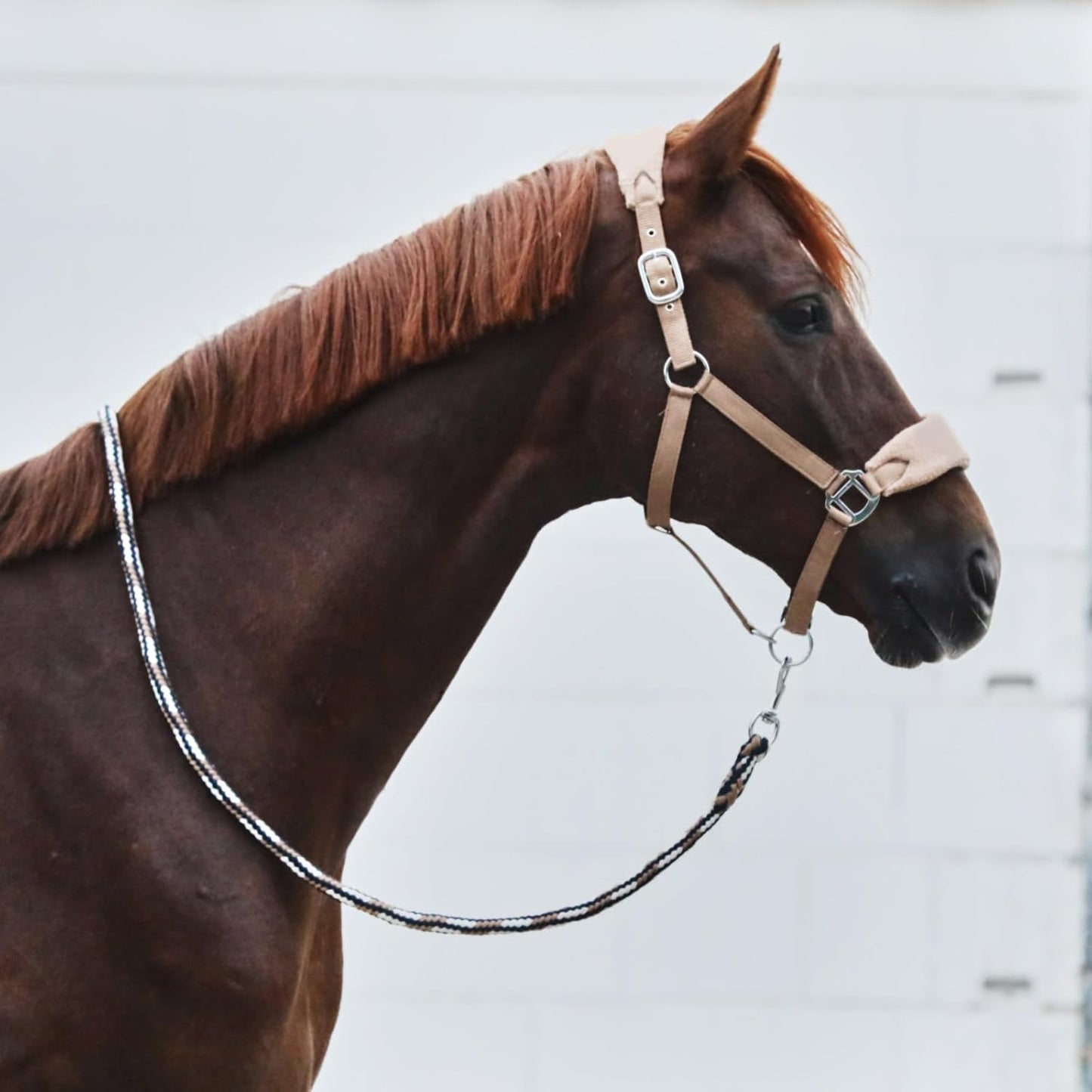 HORZE Kiel Adjustable Horse Halter with Fleece Padding - Tan - Warmblood