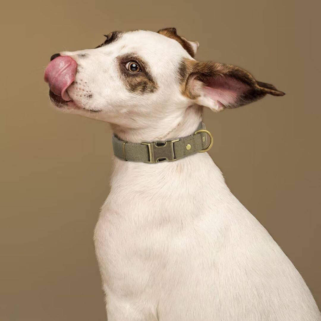 PET ARTIST Dog Collar for Large Dogs, Soft Padded Premium Nylon Dog Collar with Quick Release Metal Buckle, Durable & Adjustable Pet Collars for Boy Gifts, Green, L (Fit 15-22")