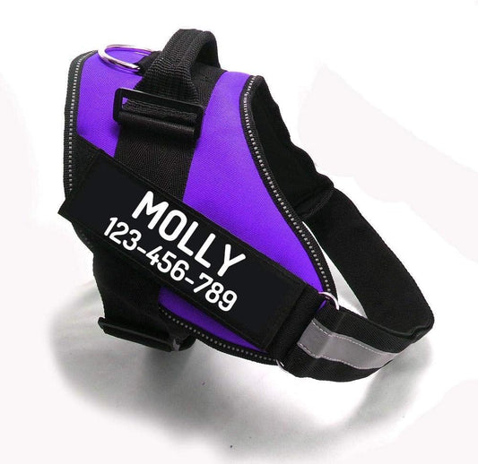 PawPawify Custom No Pull Dog Harness with Name and Phone Number, Heavy Duty Personalized Pet Vest to Prevent Tugging, Pulling, or Choking, Training and Walking (Purple, S (10-19LBS))