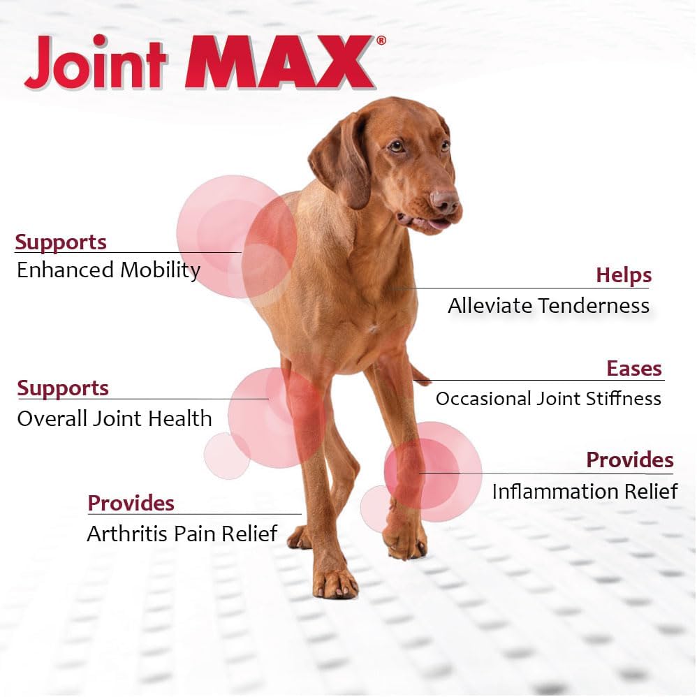 TS Joint Supplement Vet Formulated Pain & Inflammation Relief Treats Hip Dysplasia & Arthritis, Glucosamine, Chondroitin, Turmeric, MSM, HA, Creatine, Omega 3 EPA + DHA. Granules 120 Doses