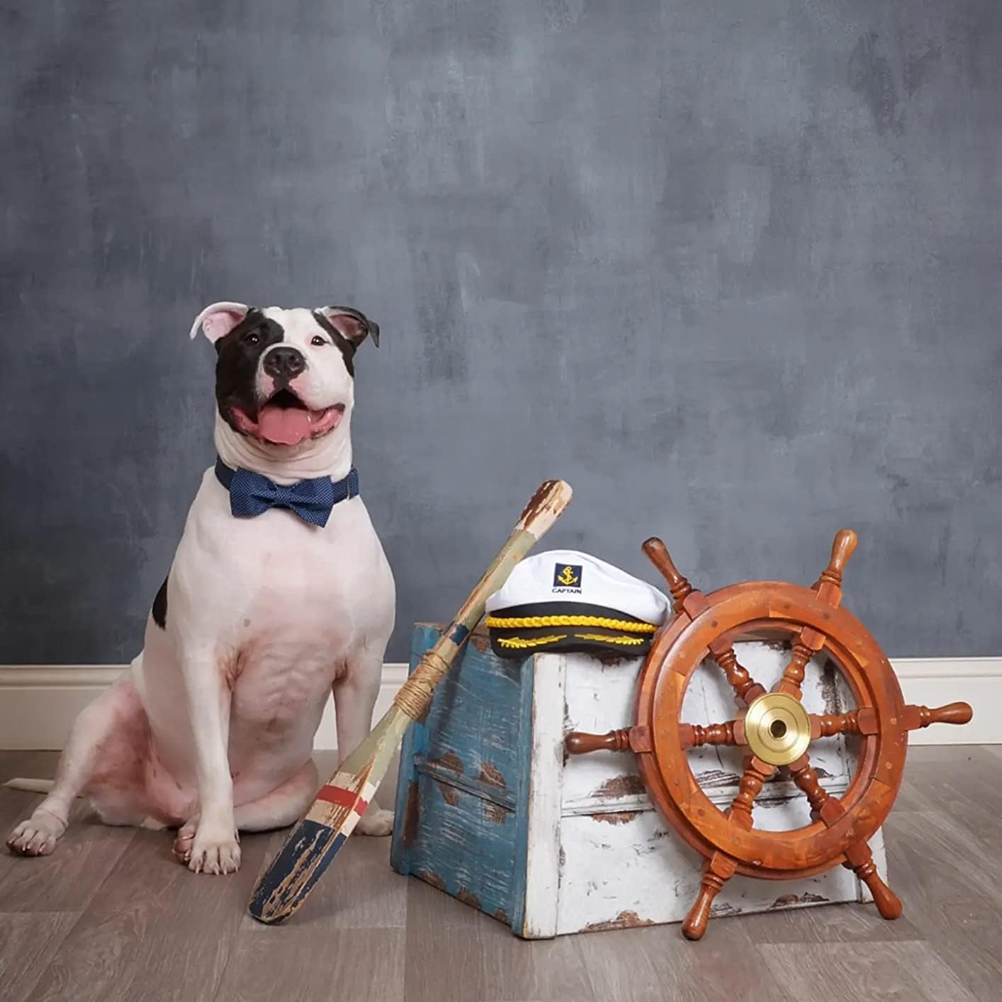 Lionet Paws Boy Dog Collar with Bowtie, Comfortable Adjustable Cute Navy Blue Bow Tie Collar for Male Dogs Gift, Medium, Neck 13.5-22 inches