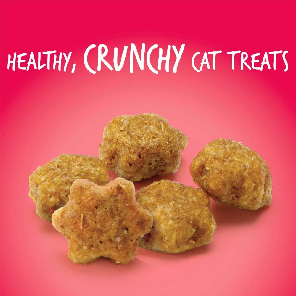 Fruitables Cat Treats Crunchy Cat Treats, Healthy Low Calorie Kitten Snacks, Made Without Wheat, Corn and Soy, Kitten Essentials, Made with Real Salmon and Cranberry, 30 Ounces