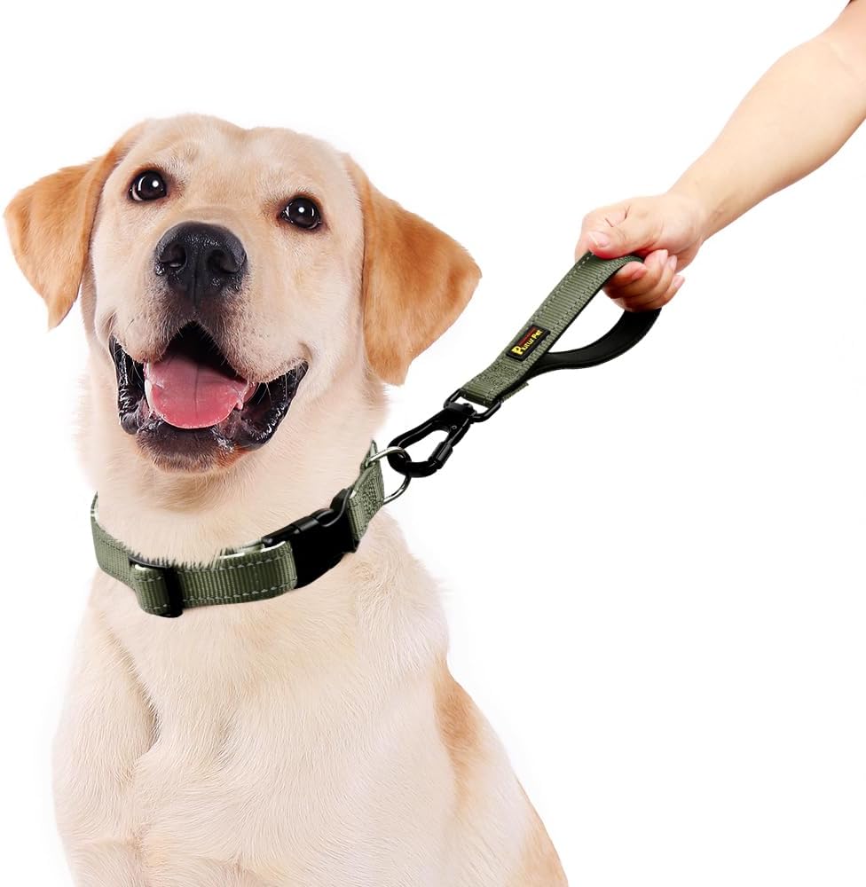 PLUTUS PET Short Dog Leash, Reflective Nylon Padded Handle, Strong Traffic Leash with Carabiner Clip, Perfect for Large or Medium Dogs (10”，Ranger Green)