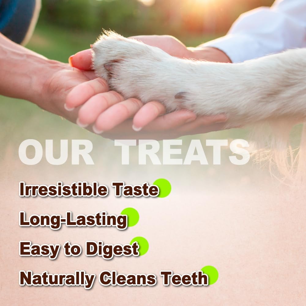 Afreschi Natural Turkey Tendon Bone (S) 40 Units/Box, Dog Treats for Signature Series, All Natural Human Grade Puppy Chew, USA-Sourced Turkey Tendon, Hypoallergenic, Rawhide Alternative