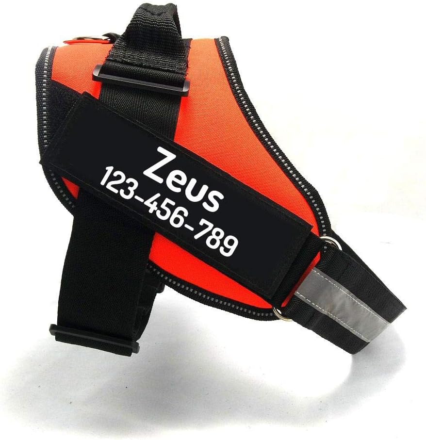 PawPawify Custom No Pull Dog Harness with Name and Phone Number, Heavy Duty Personalized Pet Vest to Prevent Tugging, Pulling, or Choking, Training and Walking (Orange, L (40-60 LBS))
