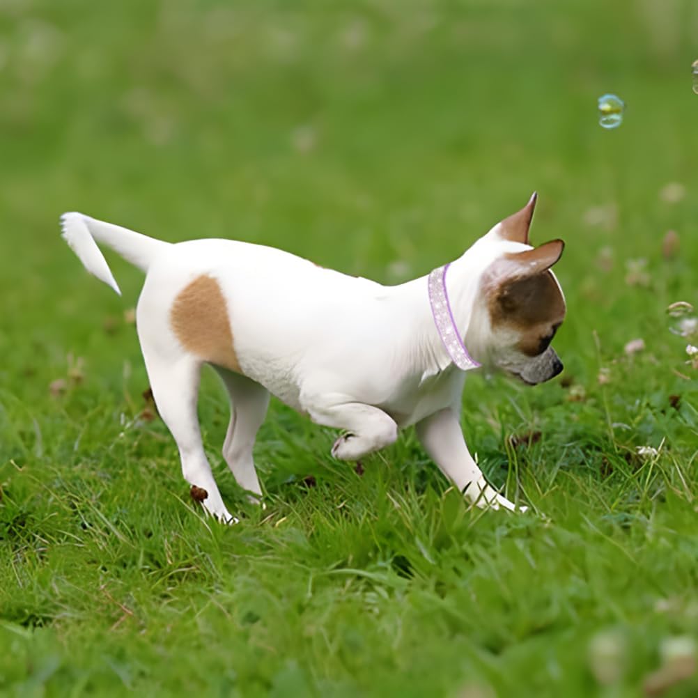 Rhinestone Dog Collar for Small Dogs, Bling Diamond Fancy Crystal Glitter Pretty Jewel Pet Puppy Collars for XXS XS Small Medium Large Breed Girl Dogs Female Cats Kitten, Blue L