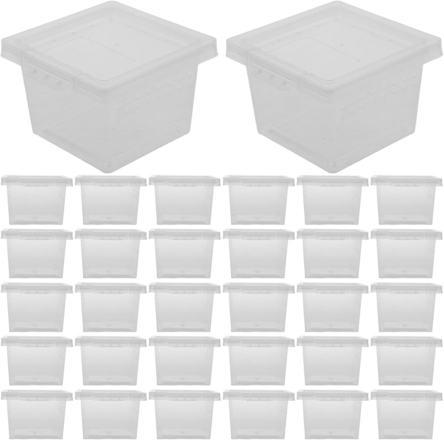 balacoo Reptile Feeding Box: 100Pcs Reptile Breeding Box Plastic Transparent Feeding Enclosure Case Hatching Container with Lid for Spider Scorpion Gecko Snake Tortoise
