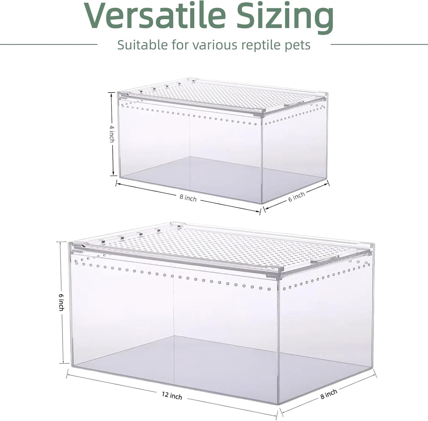 PC Reptile Terrarium, Leopard Gecko Tank, Jumping Spider Enclosure, Lizard Enclosure, Suitable for Gecko, Hermit Crab, Tree Frog, Tarantula, Praying Mantis Habitat Tank Starter (Large)