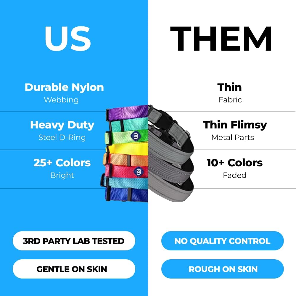 Blueberry Pet Essentials X-Small Dog Collar in Dark Orchid | Adjustable & Eco-Friendly Durable Nylon Strap | Classic Collar for X-Small Dogs, Boy & Girl Pets