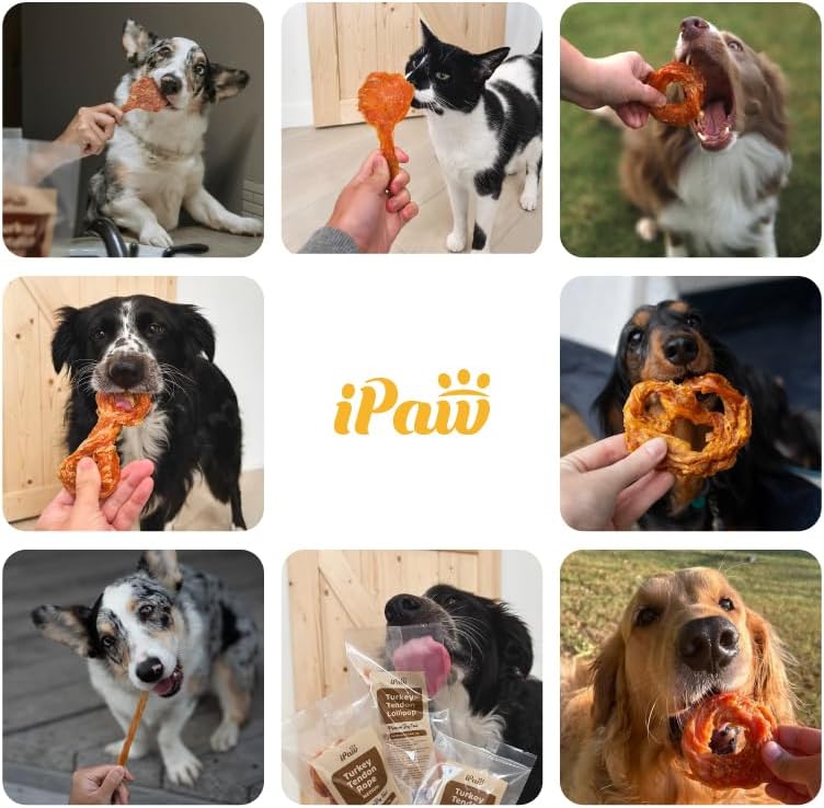 iPaw Turkey Tendons for Dogs, 100% Turkey and US Sourced Raw Material, Hypoallergenic, All Natural Human Grade Puppy Chew, Rawhide Alternative Dog Treats, 5 Unit/Pack Strip
