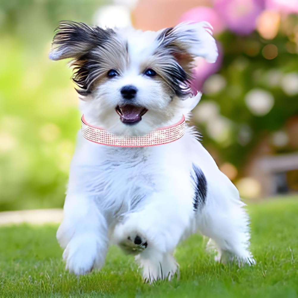 Rhinestone Dog Collar for Small Dogs, Bling Diamond Fancy Crystal Glitter Pretty Jewel Pet Puppy Collars for XXS XS Small Medium Large Breed Girl Dogs Female Cats Kitten, Purple M