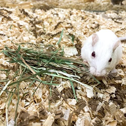 Blue Mountain Hay | Fresh Alfalfa Hay (15 Ounce) | High Leaf Retention | Nutritious High-Altitude Hay Pet Food for Rabbits, Guinea Pigs, Chinchillas, Hamsters, and Other Small Pets