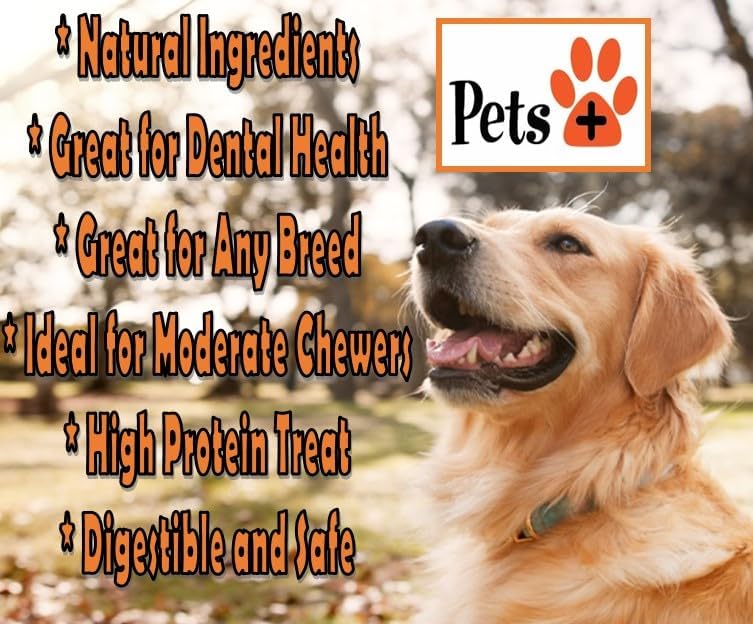 Pets Plus Premium Dog Treats – Chicken Jerky, 6 oz | All-Natural, High-Protein Dog Chews, Grain-Free Healthy Treats for Training, Rewards & Dental Support