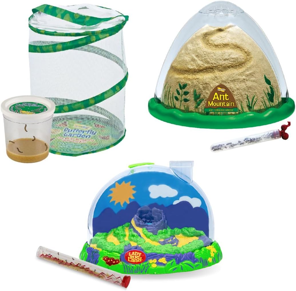 Insect Lore Bug Camp Bundle | Butterfly Kit with 1 Cup Live Caterpillars | Ladybug Land with 1 Tube Live Larvae | Ant Mountain with 1 Tube Live Western Harvester Ants | Life Cycle Figurines & More