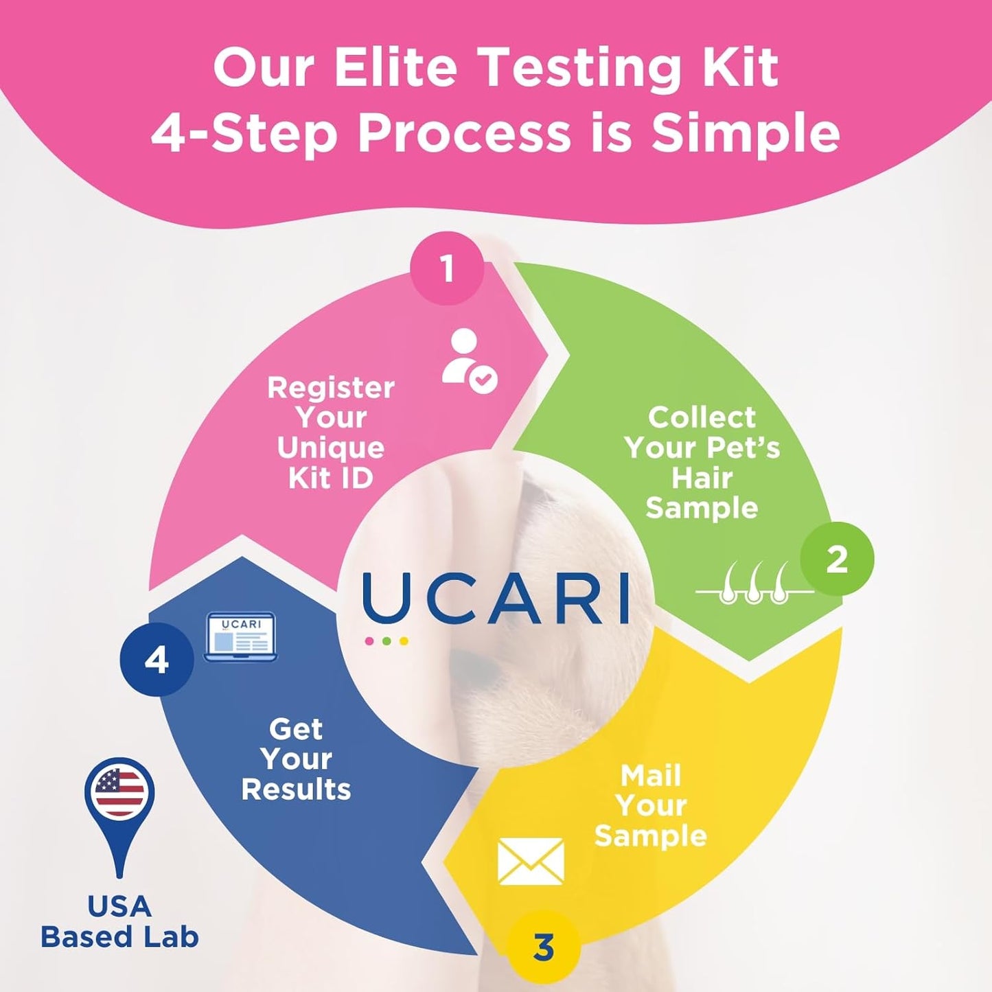 UCARI Pet Sensitivity Test | Screens for 1000+ Intolerances | Food & Environment Analysis | Painless Home Test Hair Sample Method | Results in 48 Hours | Cats & Dogs