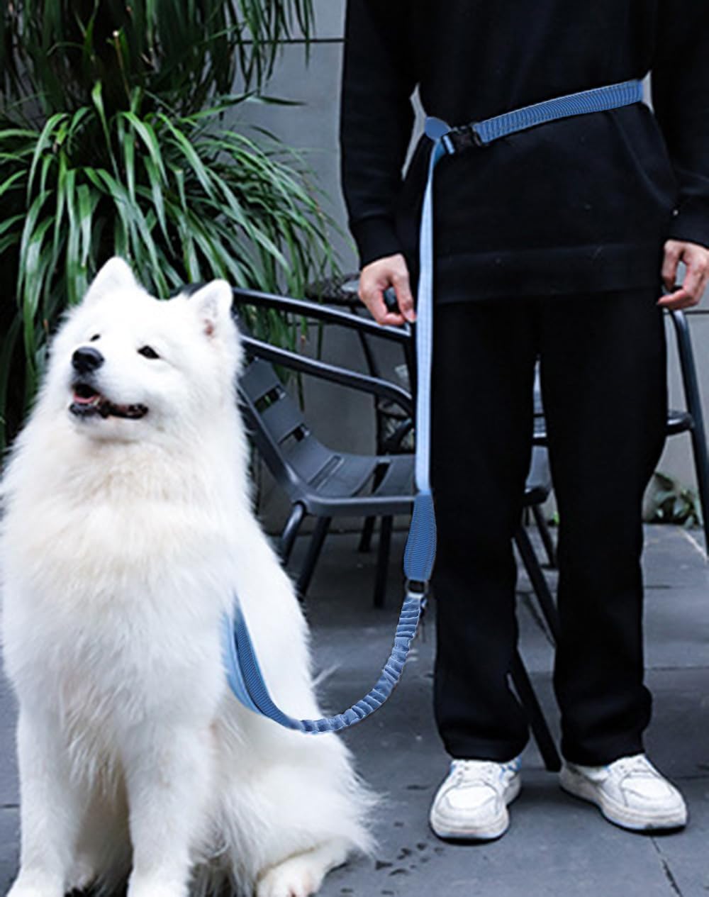 Hands Free Dog Leash for Large Medium Dogs Heavy Duty Bungee Reflective Adjustable Waist Leashes for Walking Running with Car Buckle 4-6FT (Blue)