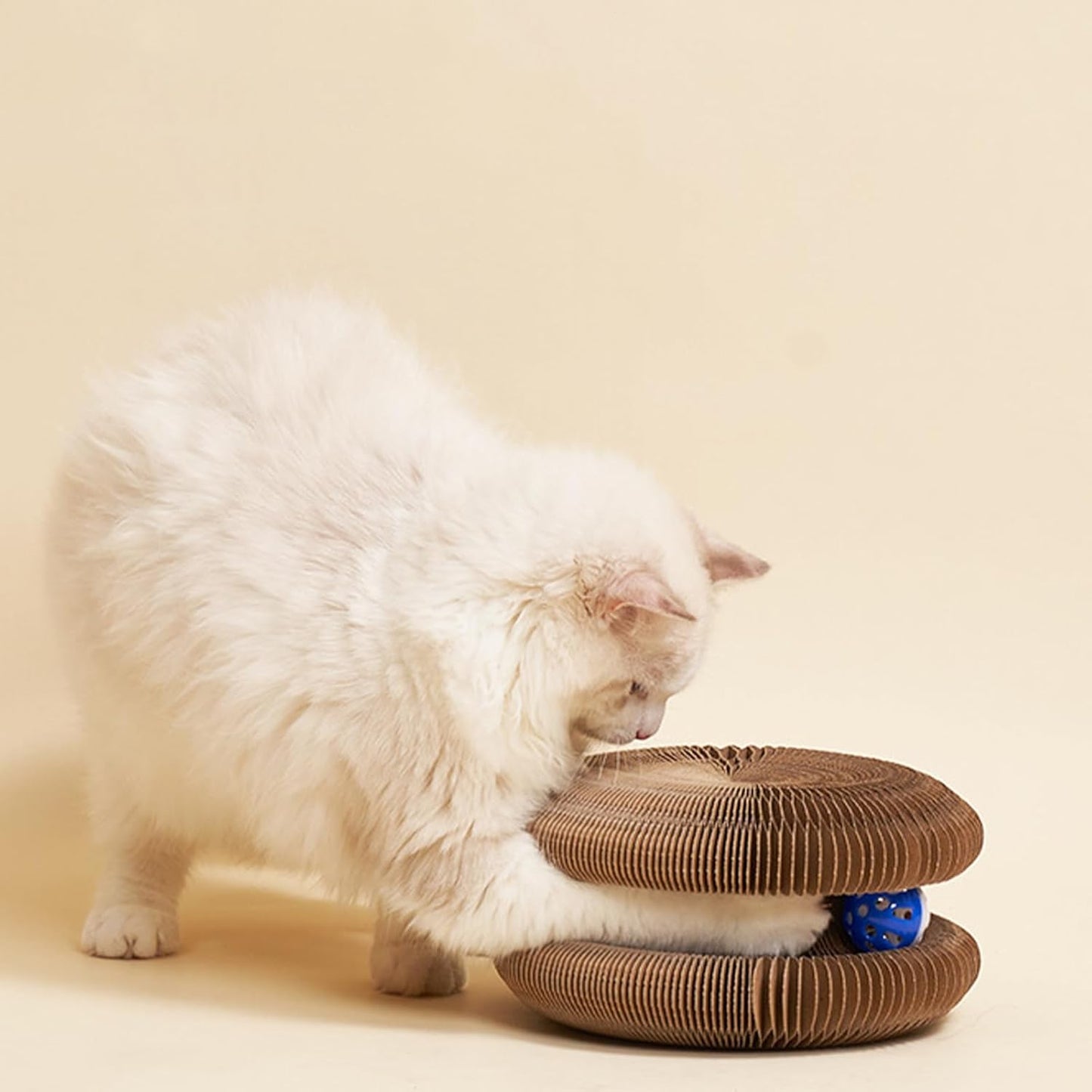 Kitty Curls Cat Toy Kurlz, Interactive Scratch Pad, Foldable Accordion,Cat Recyclable Scratcher with Ball (Black)