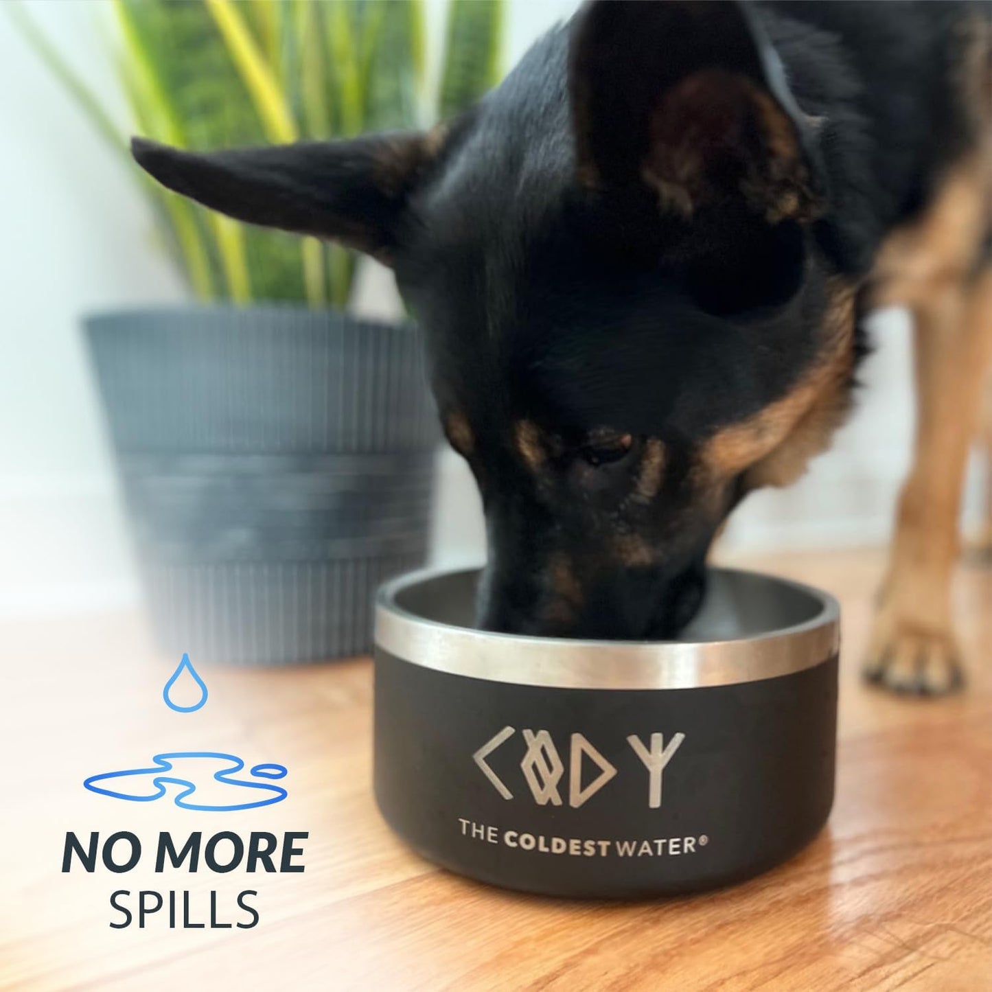 Coldest Dog Bowl - Anti Rust Metal, Non Slip, 3 Layers Insulated Stainless Steel Dog Bowls - Spill Proof & Heavy Duty - Water Bowl for Dogs, Cats, Dish Washer Safe (100 oz, Saturns Purple Glitter)