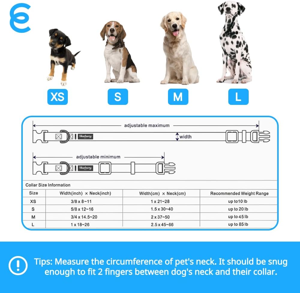 Blueberry Pet Essentials Adjustable Dog Collar in Turquoise | Dog Collars for Medium & Large Dogs | Eco-Friendly Nylon for Boy & Girl Puppies | Stylish & Durable for The Eco-Conscious