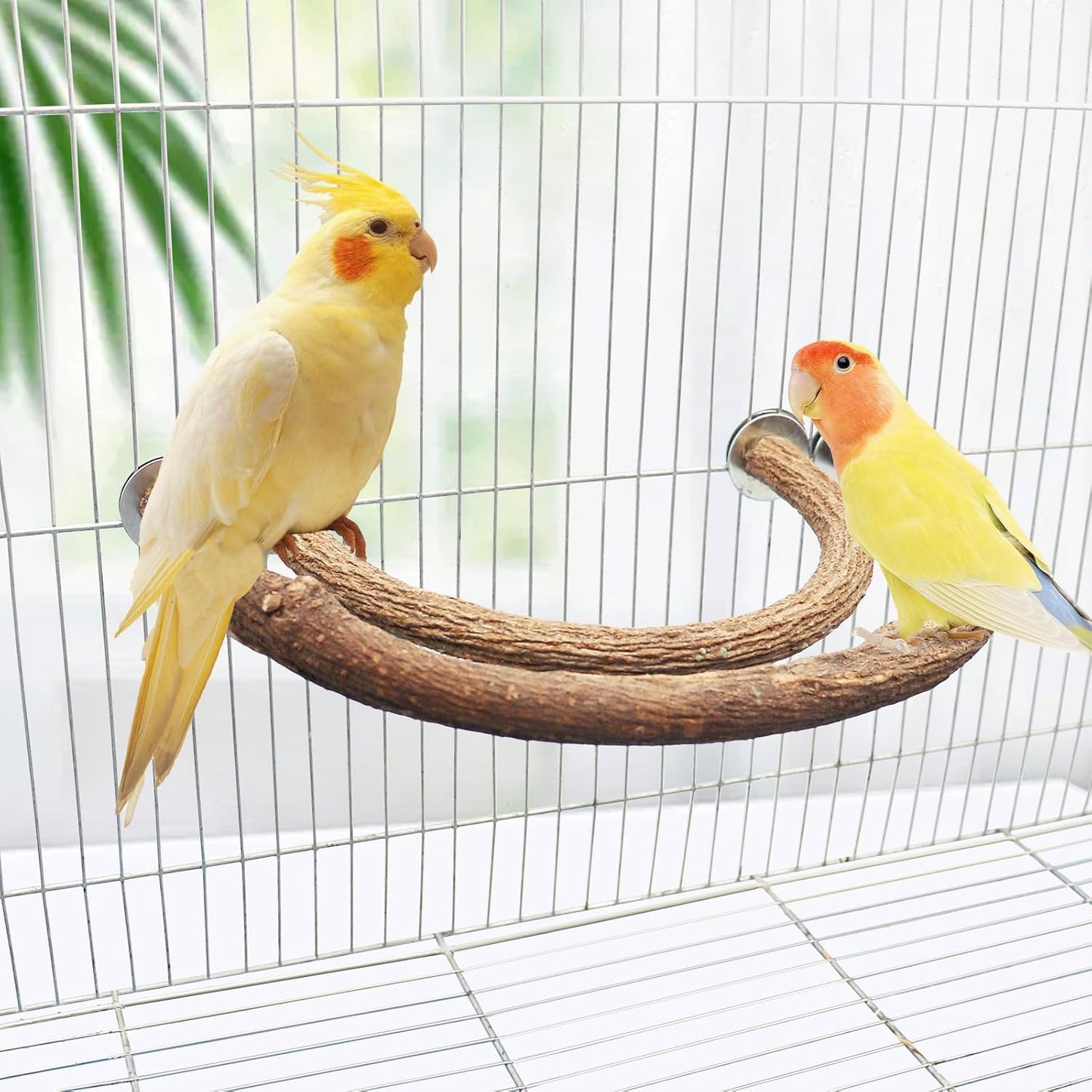 2 Pack Bird Perch Stand, Natural Wood U Shape Parrot Stand Pole, Bird Cage Accessories, Suitable for Small to Medium Birds Parakeets Cockatiels Budgie Lovebirds