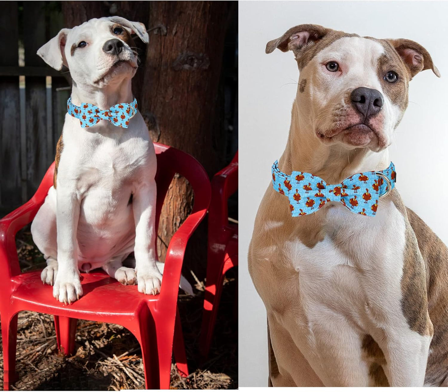 Unique style paws Christmas Dog Collar with Bow Tie Red Elk Cotton Collar Adjustable Puppy Collar for Small Medium Large Dogs-S