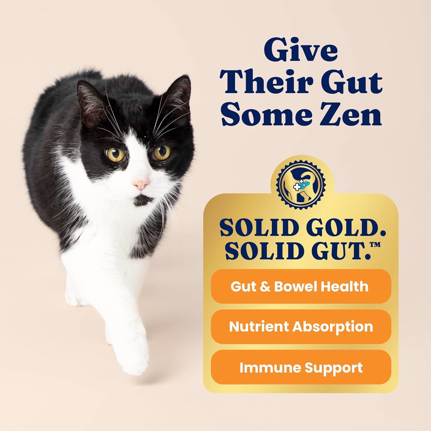 Solid Gold Sensitive Stomach Dry Cat Food - Grain Free & Gluten Free Sensitive Stomach Cat Food for Indoor Adult & Senior Cats - Dry Kibble for Cats w/Quail, Pumpkin & Probiotics for Gut Health - 6lb