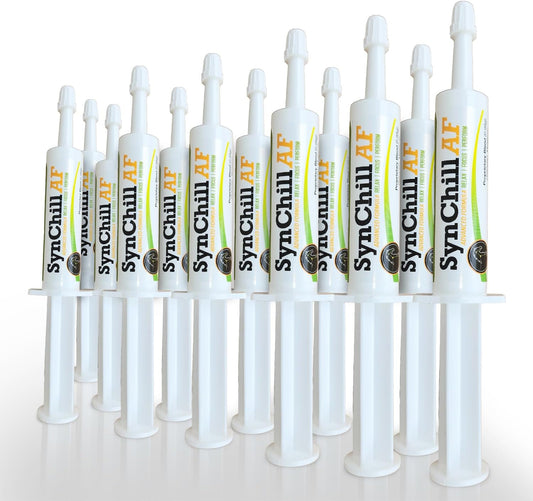 SynChill AF Calming Gel for Nervous Horses - Single Serving - Advanced Formula with L-Theanine, Increased Potency, 100% Natural Supplement, Disposition & Confidence Support for Horses - 12 Pack