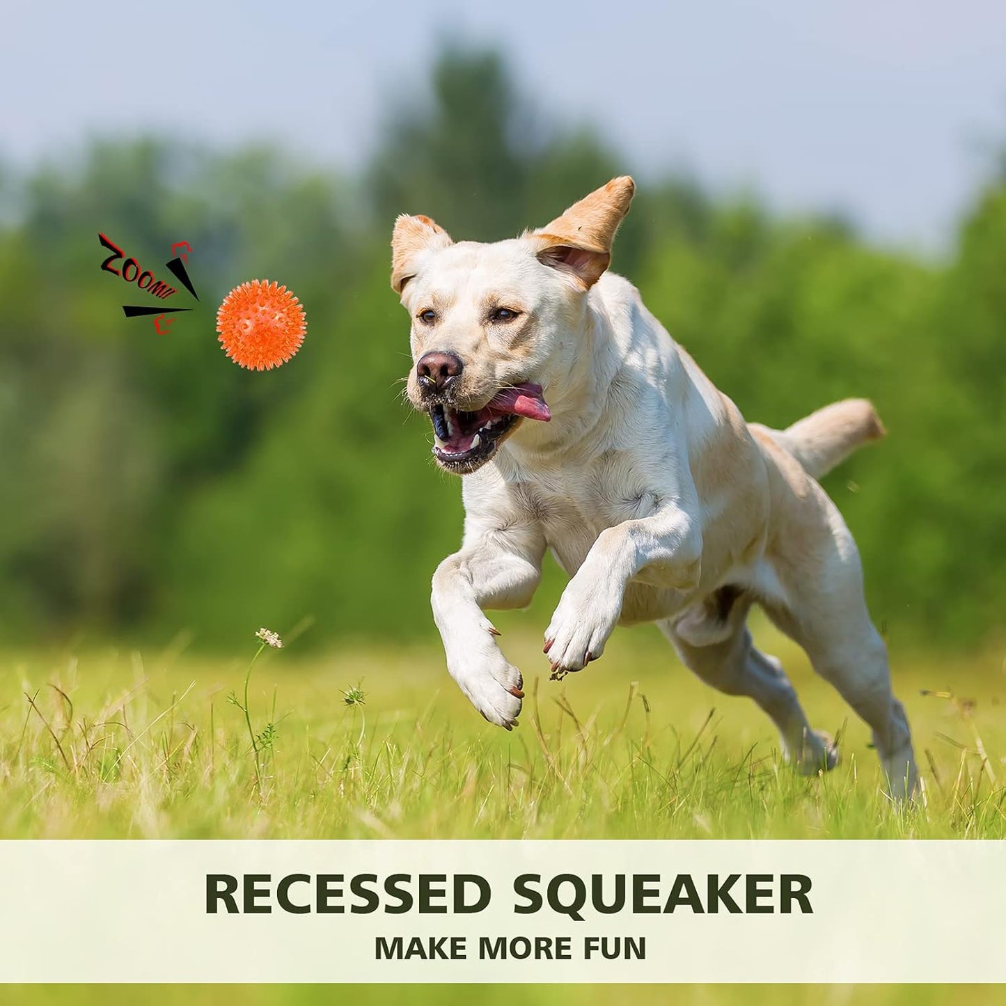 petizer Dog Toy Balls, 3-Pack Squeaky, Floating, Spiky, Interactive Fetch, Chew for Small Medium and Large Dogs, Waterproof, 2.5/3.5in