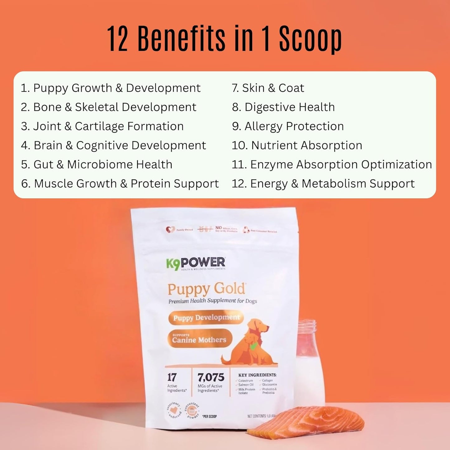 K9 Power Puppy Gold 1 lb - Supplement for Growing Puppies & Nursing Mothers - Essential Nutrients for Healthy Growth & Development - 45 Scoops