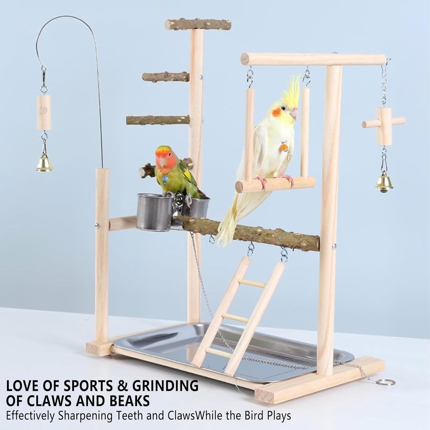 Bird Playground Parrot Playstand Bird Perch Stand Gym Natural Wood Play Stand with Swing Ladder Feeder Cups for Parakeets Cockatiels Lovebirds Conures Budgies