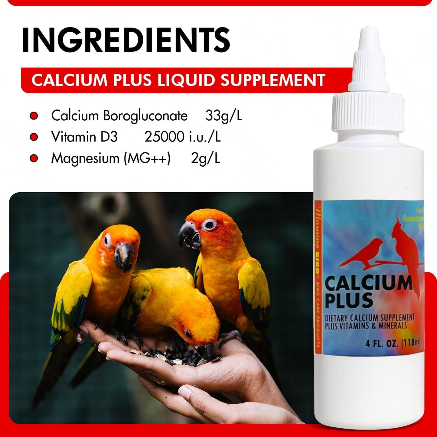 Morning Bird Calcium Plus Liquid Supplement for Birds - Liquid Calcium Formula with Magnesium and Vitamin D3 Calcium Supplement for All Birds – 4 Fl Oz
