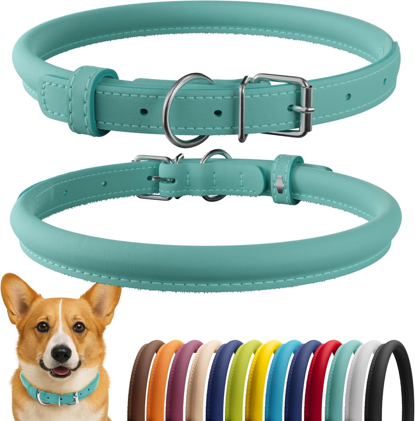CollarDirect Rolled Leather Dog Collar, Soft Padded Round Puppy Collar, Handmade Genuine Leather Collar Dog Small Large Cat Collars 13 Colors (11-14 Inch, Mint Green Smooth)