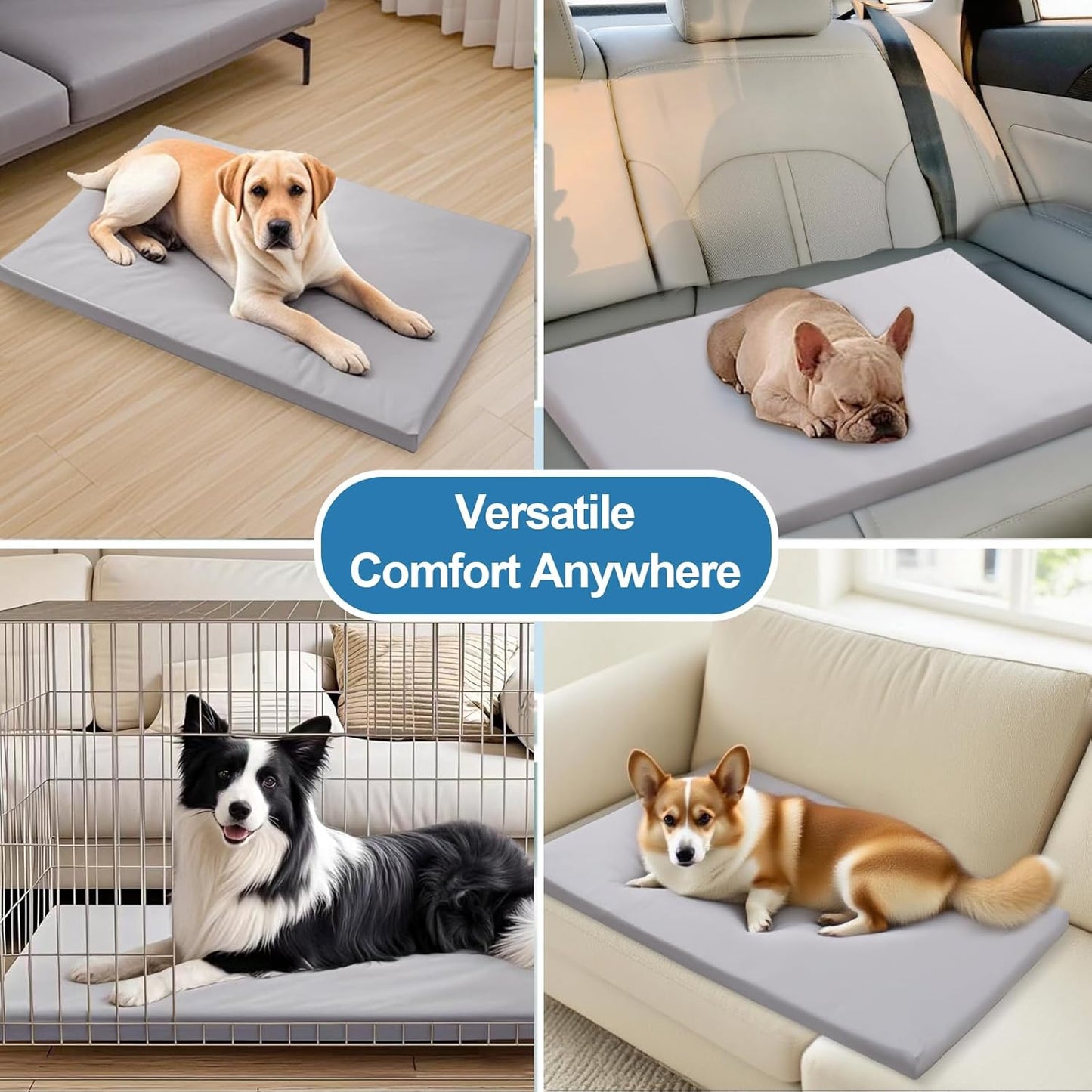 Dog Mat,23"x 36"Dogs Crate Pad,Indoor Non-Slip & Waterproof Dog Mat,Easy Wipe Clean in Seconds，Sleeping for Floor,Car,Sofa,Crate