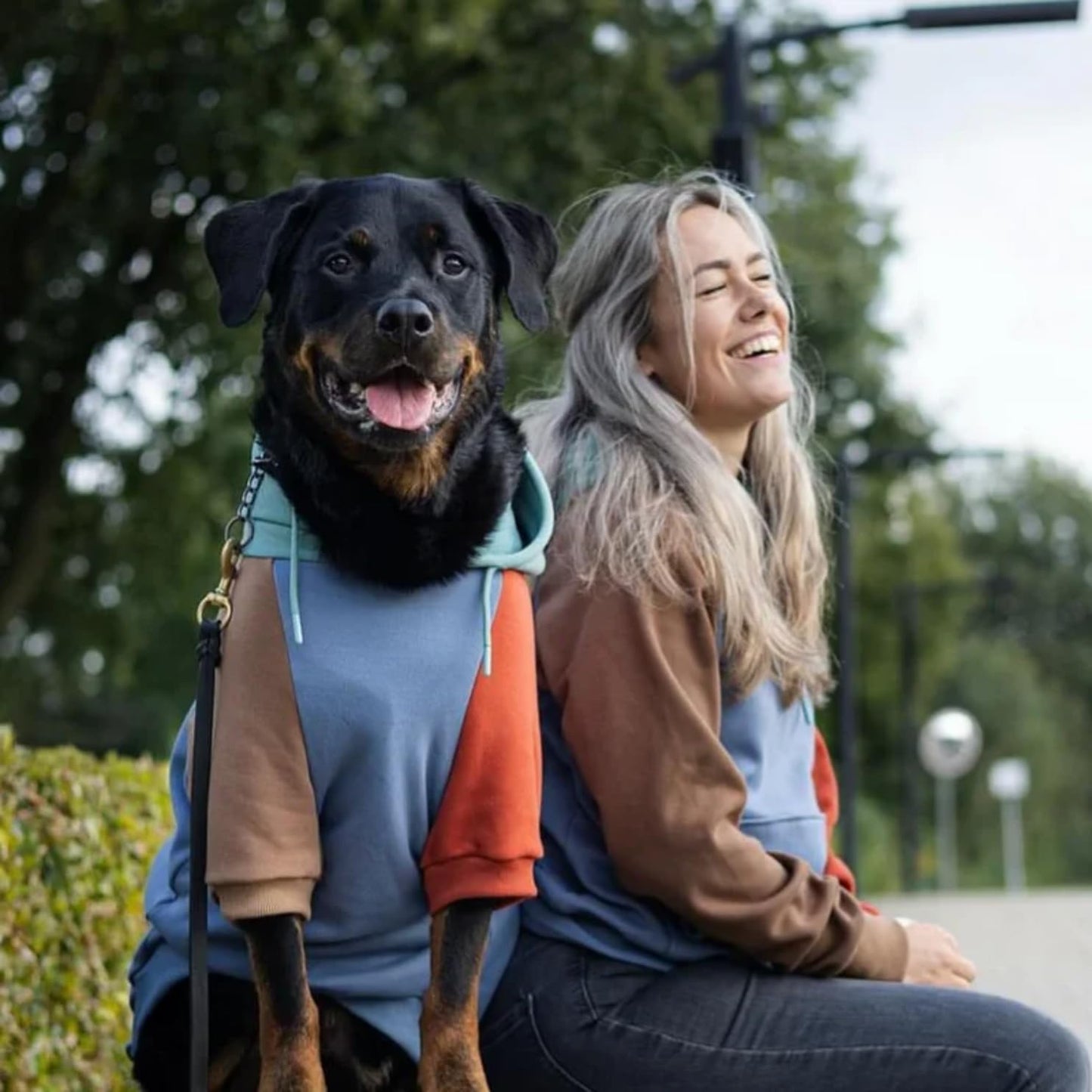 Spark Paws Dog Hoodie – Premium Dog Sweater for Small, Medium, and Large Dogs | Warm Outfits for French Bulldogs, Pitbull, Puppy, Winter Jacket Alternative - Alpine - 5XL