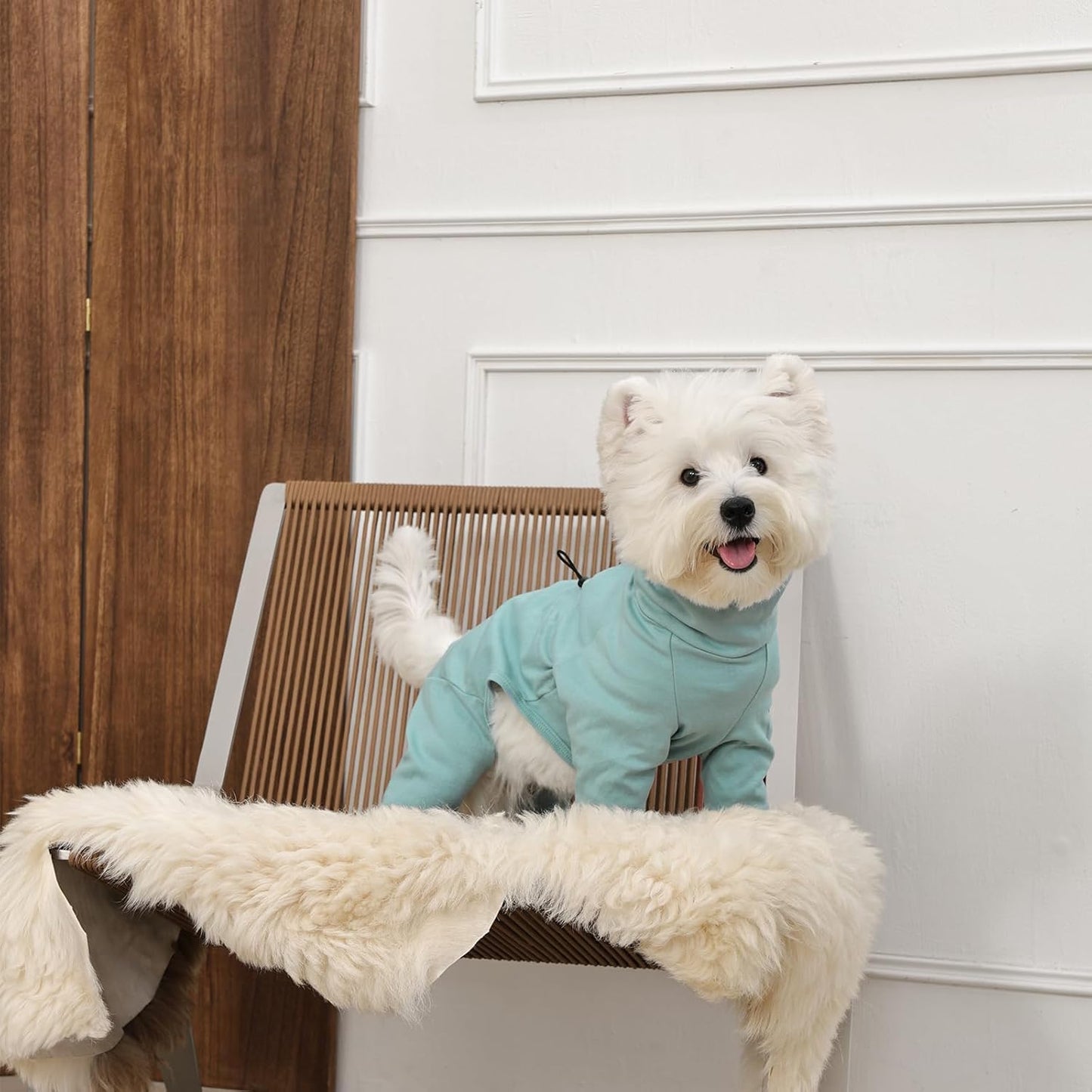 Dog Pjs for Large Breed with Zipper Back, Adjustable Long Sleeve Dog Recovery Suit for Dogs After Surgery, Soft Pet Shedding Suit E-Collar Alternative, Labrador, Golden Retriever, Green 2XL