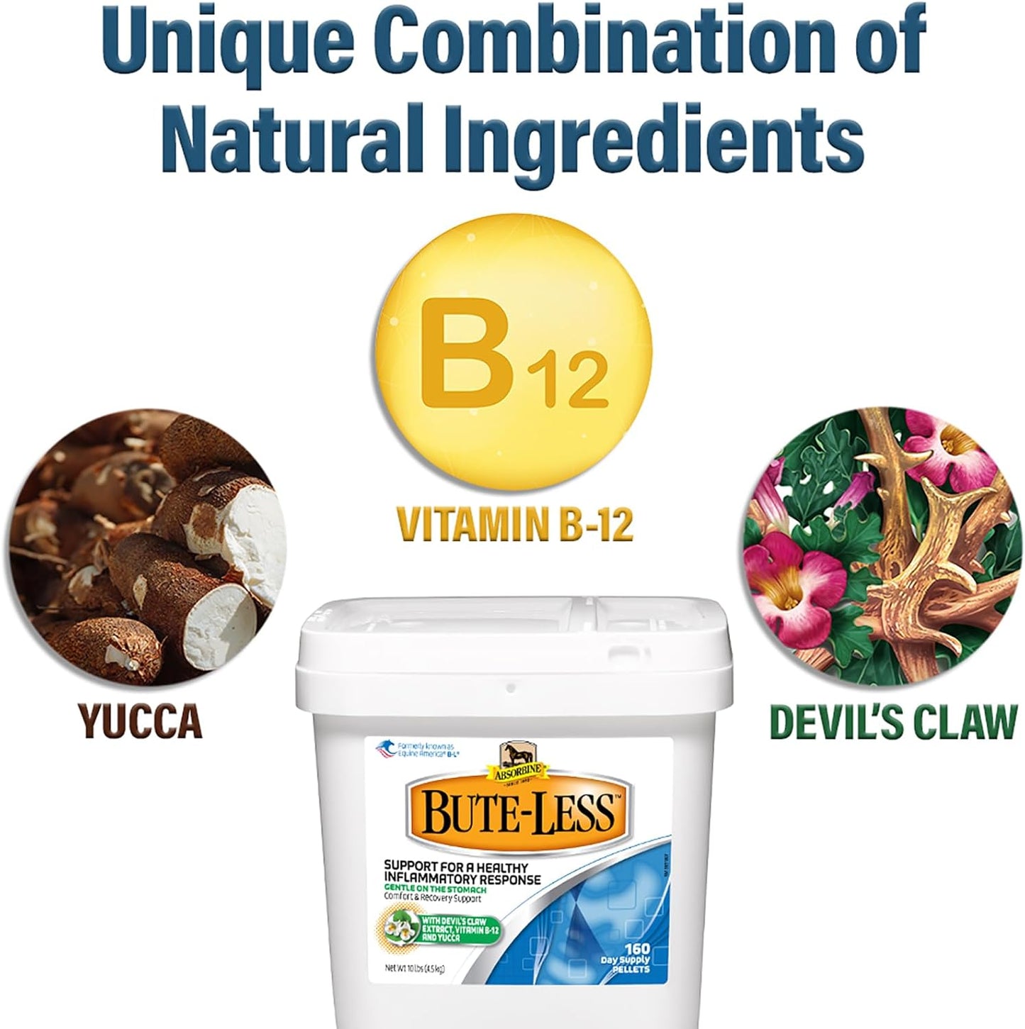 Absorbine Bute-Less Comfort & Recovery Support Supplement, Provides Long-Term Comfort, Gentle on Stomach, Includes Devil’s Claw, Vitamin B-12, Yucca, 10 lb / 160 Day Supply