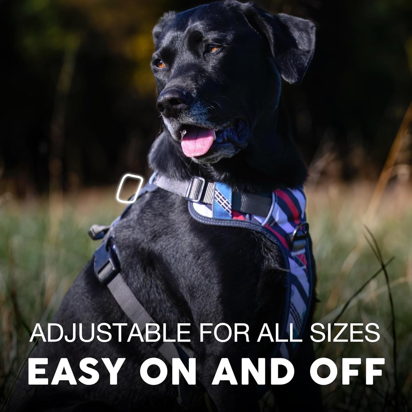 Embark Adventure Dog Harness, Reflective Trim No Pull Dog Harness for Large Dogs - Military Grade Nylon, Front Clip with Gel Lined Handle.