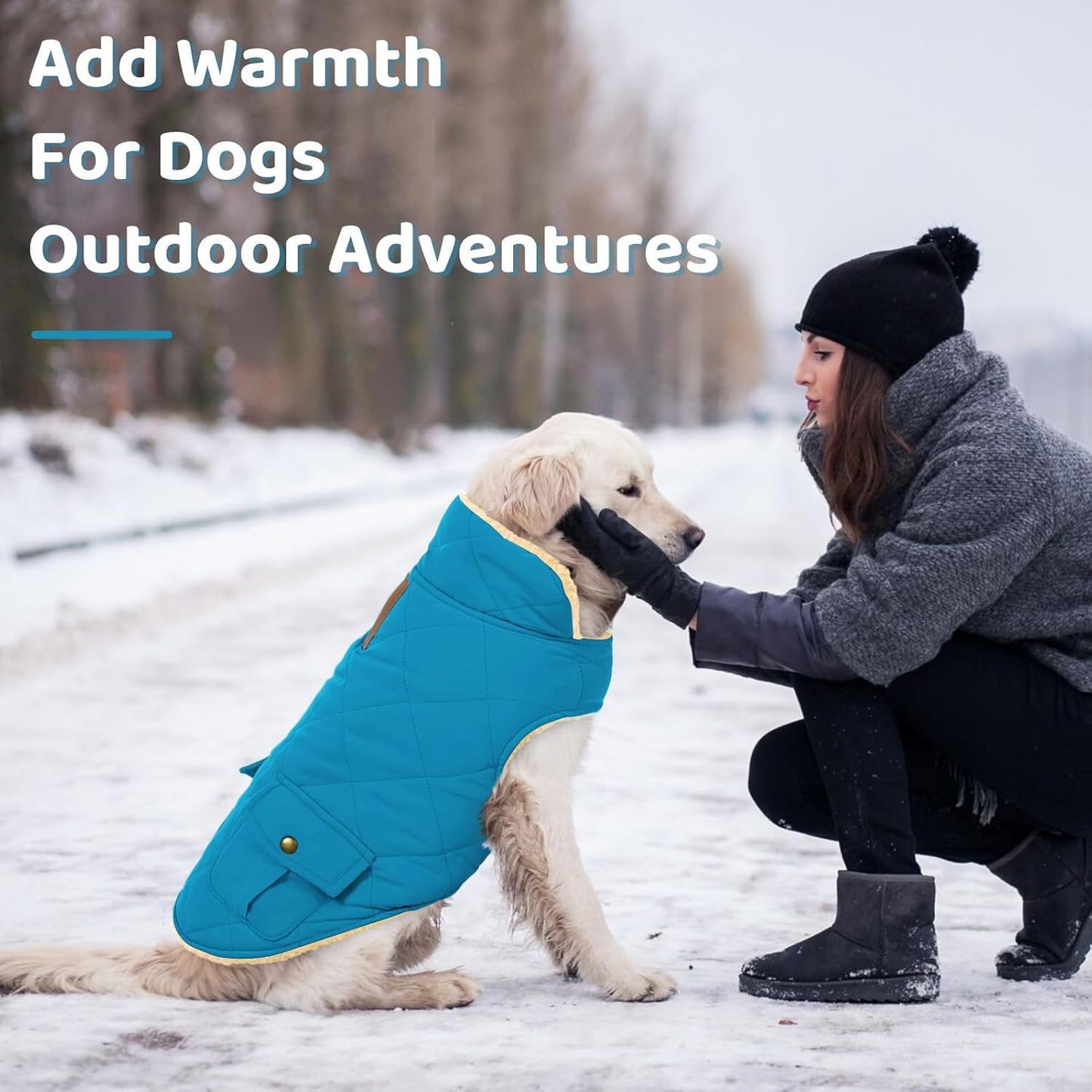 Queenmore Dog Winter Coat Warm Puffer Jacket Waterproof Plush Lining Thermal Cold Weather Vest for Small Medium Large Dogs, Windproof Easy On Pet Jacket Blue S