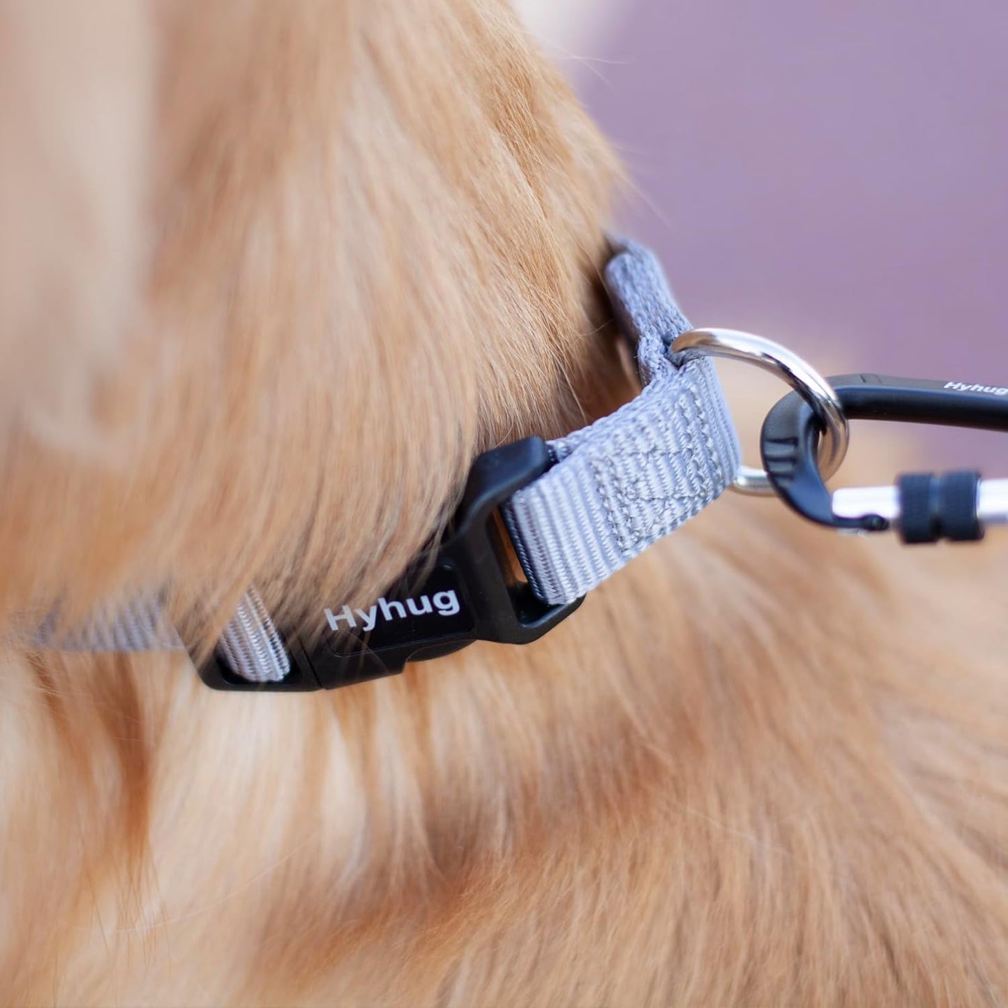 Hyhug Pets Solid Color Classic Regular Heavy Duty Basic Collar for Large Breeds Dogs, Unique Design Adjustment Triglide Slide (Buckle) Can Attached Name Tag Accessories. (Large, Sleet Gray)